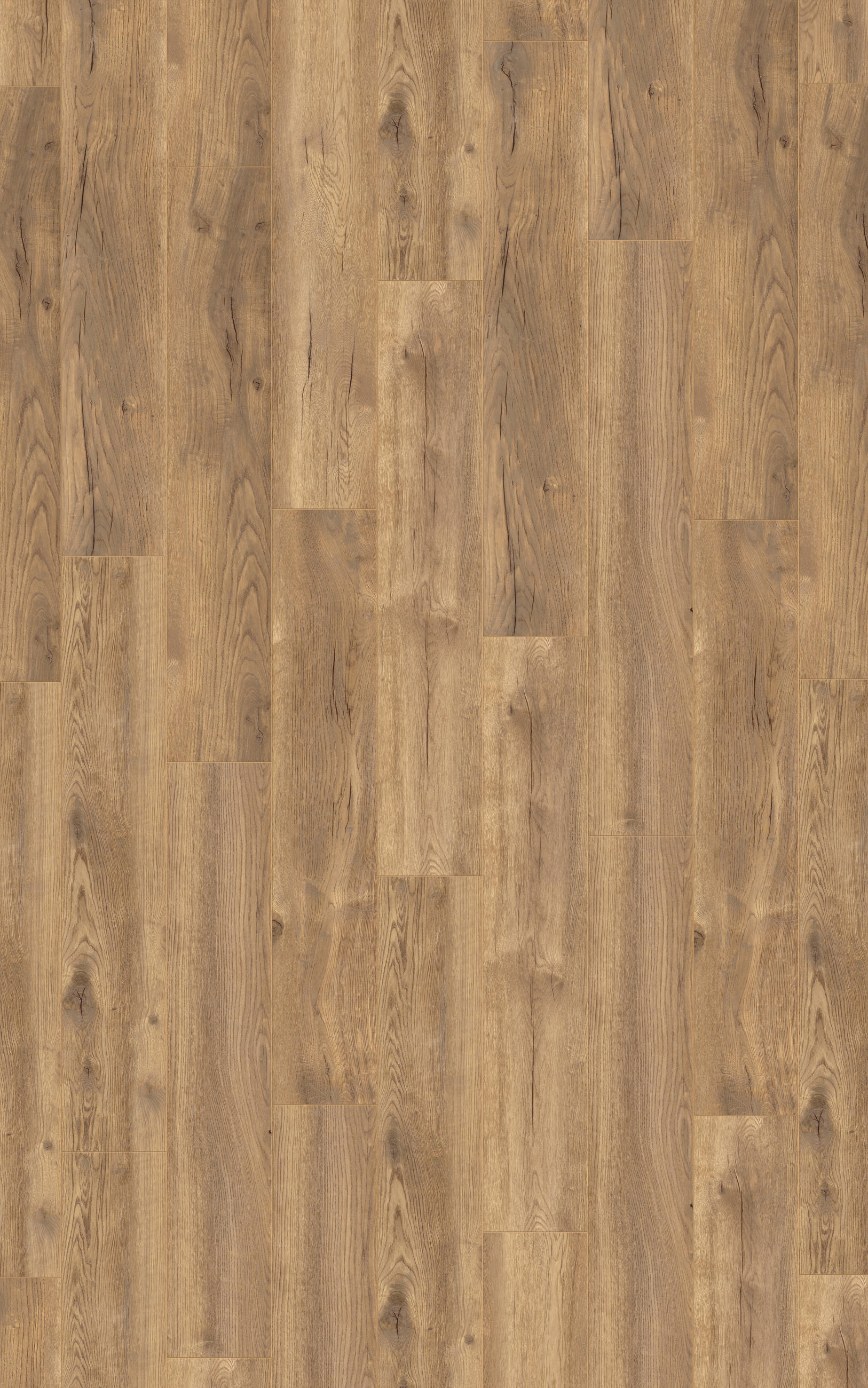 Laminatboden Eiche natur  (m²) světle hnědá - světle hnědá, Konvenční, dřevo (138.0/24.4/0.8cm)