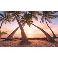 NON WOVEN-TAPET 400/250 cm  - Natur (400/250cm)