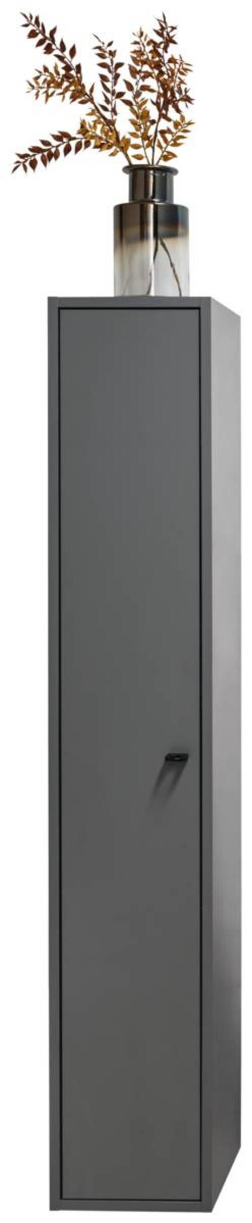 MIDISCHRANK 25/139,7/30 cm  - Anthrazit/Schwarz, KONVENTIONELL, Holzwerkstoff/Metall (25/139,7/30cm) - Stylife