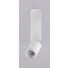 LED-DECKENLEUCHTE - Weiß, KONVENTIONELL, Metall (4,5/23cm) LED-DECKENLEUCHTE - Weiß, KONVENTIONELL, Metall (4,5/23cm)