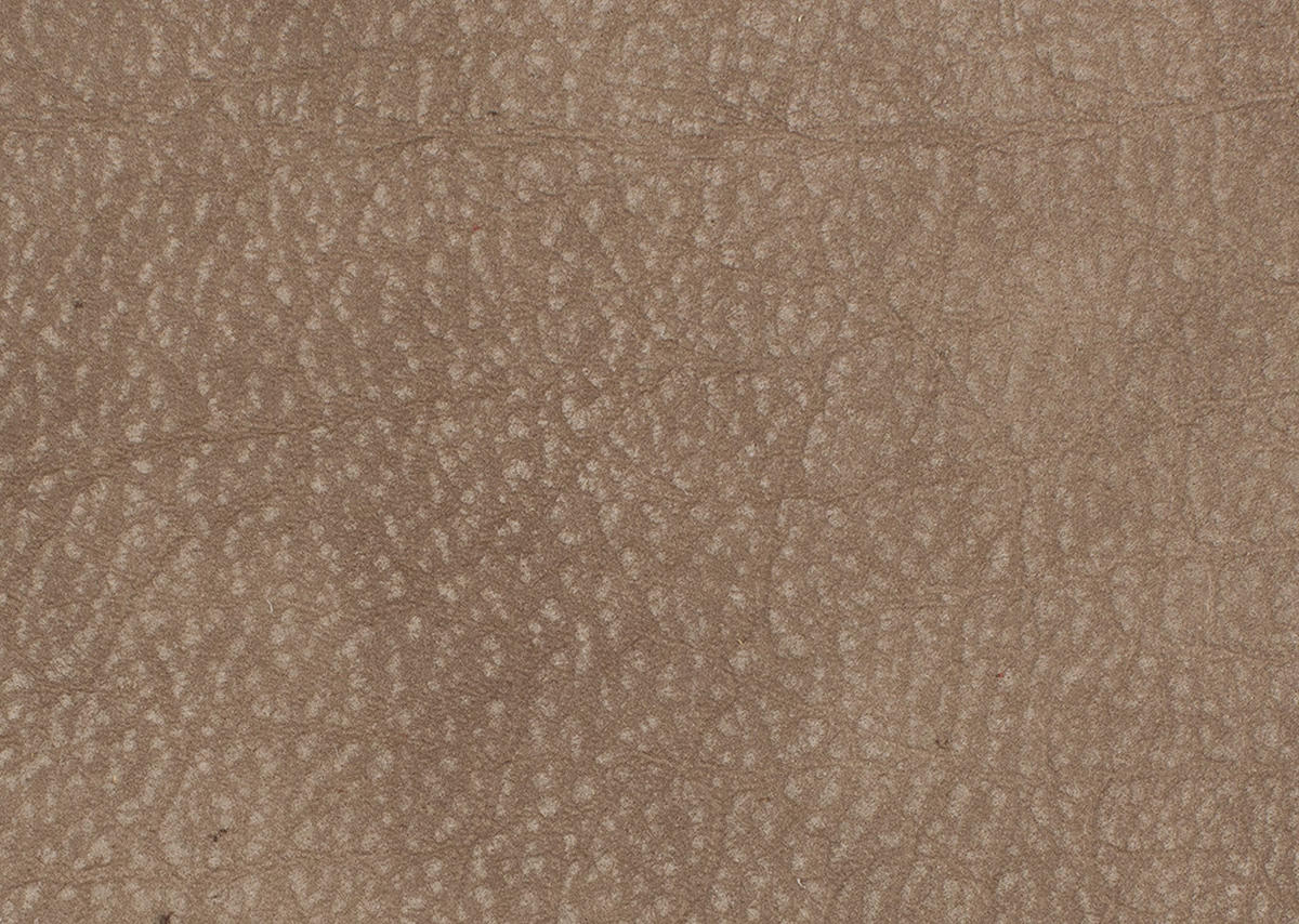 SESSEL in Echtleder Greige  - Greige/Schwarz, Design, Leder/Metall (80/104/99cm) - Koinor