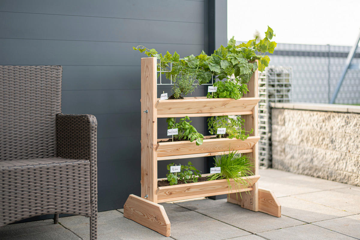 GARTENREGAL Holz  - Lärchefarben, Basics, Holz (80/95/50cm) - Ambia Garden