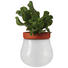 PFLANZTOPF - Terra cotta/Weiß, KONVENTIONELL, Glas/Keramik (10,01/12,9/10,01cm) - Leonardo PFLANZTOPF - Terra cotta/Weiß, KONVENTIONELL, Glas/Keramik (10,01/12,9/10,01cm) - Leonardo