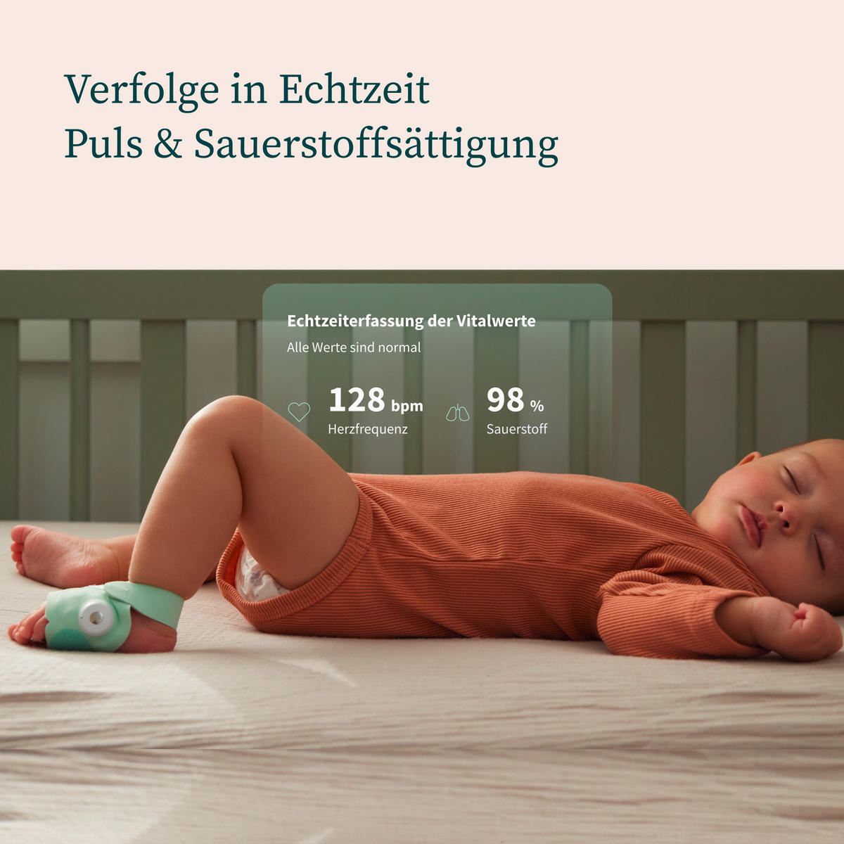 BABYPHONE  - Mintgrün, Basics, Kunststoff/Textil (0.014kg) - Owlet