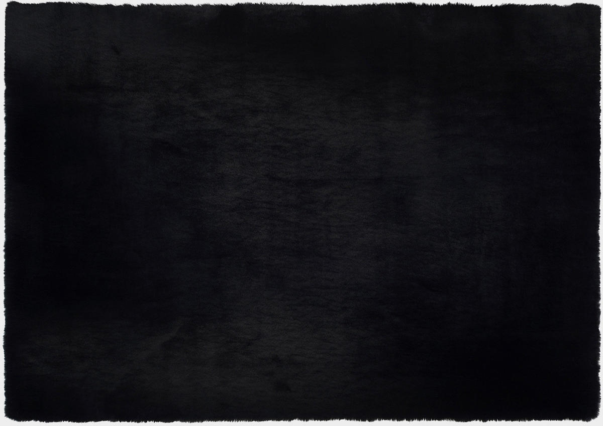 HOCHFLORTEPPICH 200/290 cm Silky Haven Schwarz  - Schwarz, Basics, Textil (200/290cm) - Novel