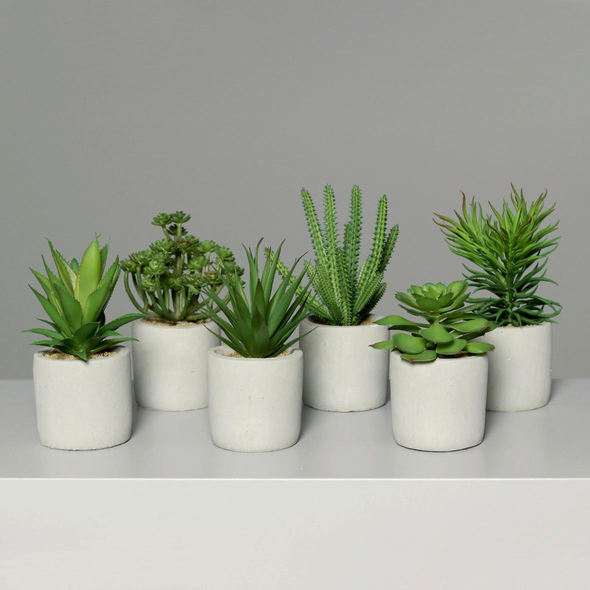 SUKULENTI - zelena, Osnovno, plastika (20cm)