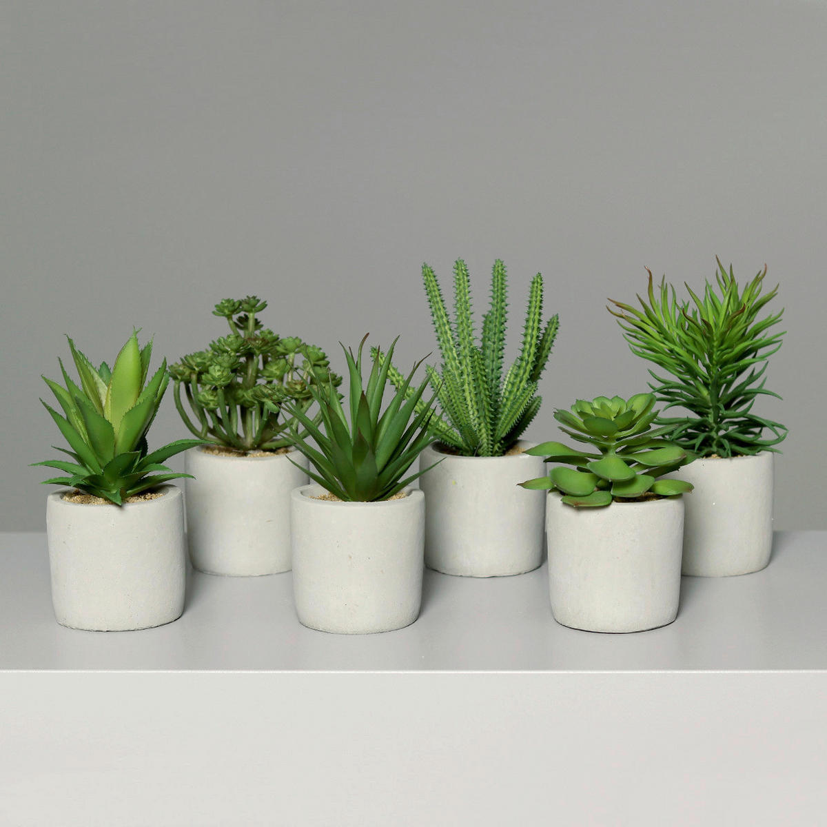 SUKULENTI - zelena, Osnovno, plastika (20cm)
