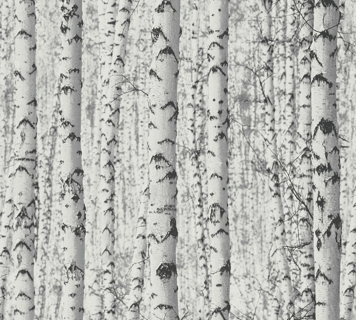 FOTOTAPETE  - Natur (52/250cm)