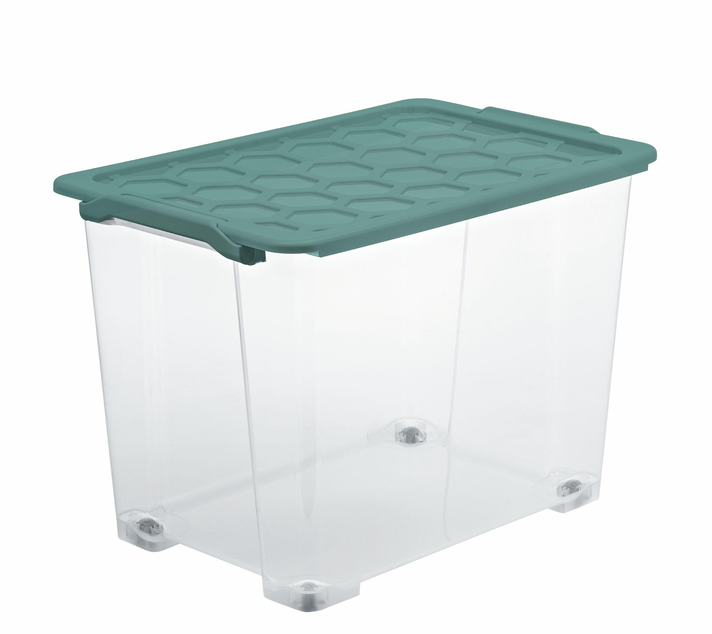 BOX MIT DECKEL EVO SAFE  - Transparent/Grün, Basics, Kunststoff (59/39,5/41,2cm) - Rotho