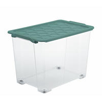 BOX MIT DECKEL EVO SAFE  - Transparent/Grün, Basics, Kunststoff (59/39,5/41,2cm) - Rotho