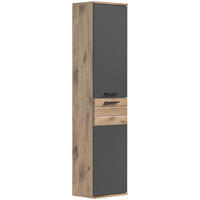 VISOKA OMARA 37/152/24 cm  - siva/barve hrasta, Moderno, umetna masa/leseni material (37/152/24cm) - MID.YOU