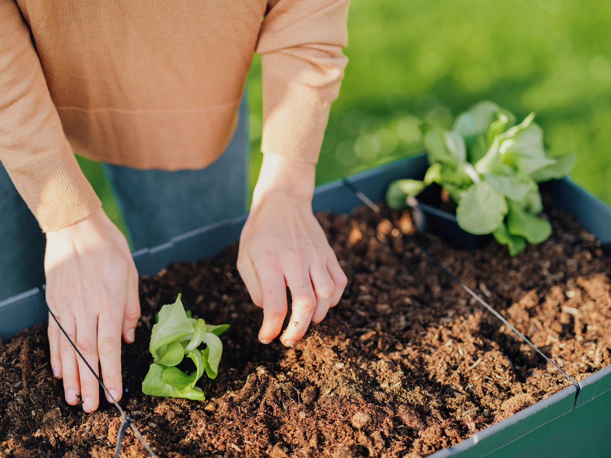 HOCHBEET 38/95/79 cm  - Anthrazit, Basics, Holz/Kunststoff (38/95/79cm) - Gusta Garden