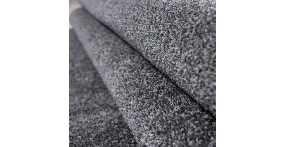 HOCHFLORTEPPICH 240/340 cm Ata grau Grau  - Grau, KONVENTIONELL, Textil (240/340cm) - Novel