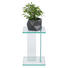 BLUMENSÄULE in Glas - Klar, Design, Glas (25/41/25cm) BLUMENSÄULE in Glas - Klar, Design, Glas (25/41/25cm)