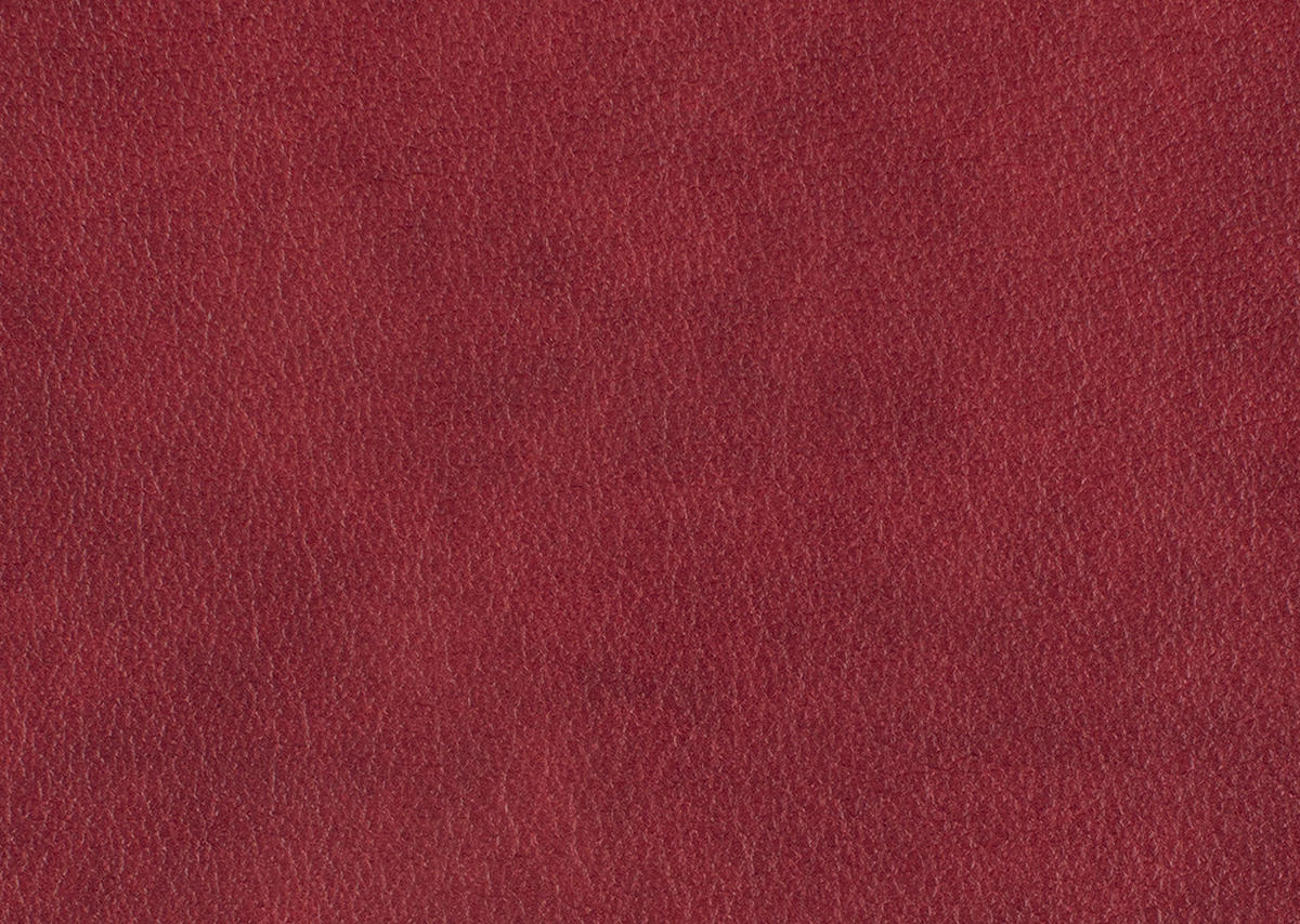 ECKSOFA in Echtleder Rot  233/309 cm  - Edelstahlfarben/Rot, Design, Leder/Metall (233/309cm) - Dieter Knoll
