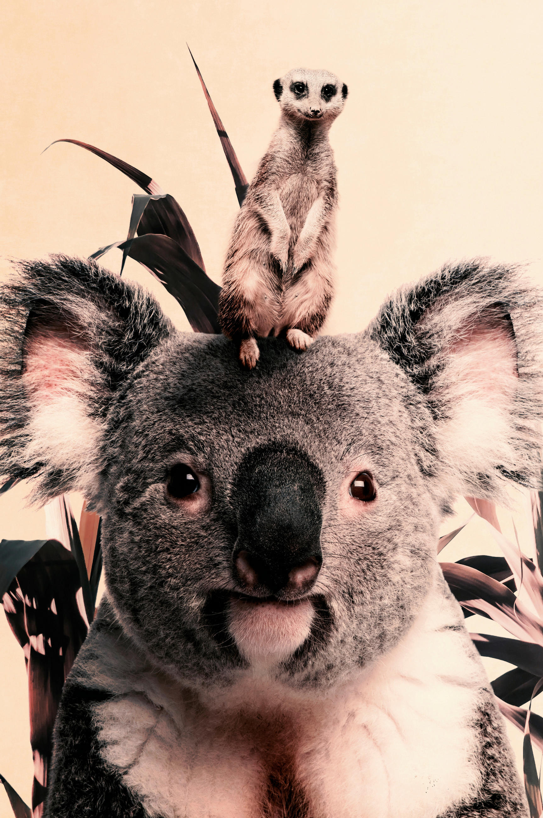 BILD 98/148/10 cm  - Multicolor, Basics, Kunststoff/Metall (98/148/10cm) - Wandkraft