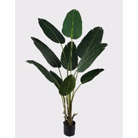 MŰNÖVÉNY - fekete/zöld, Basics, műanyag