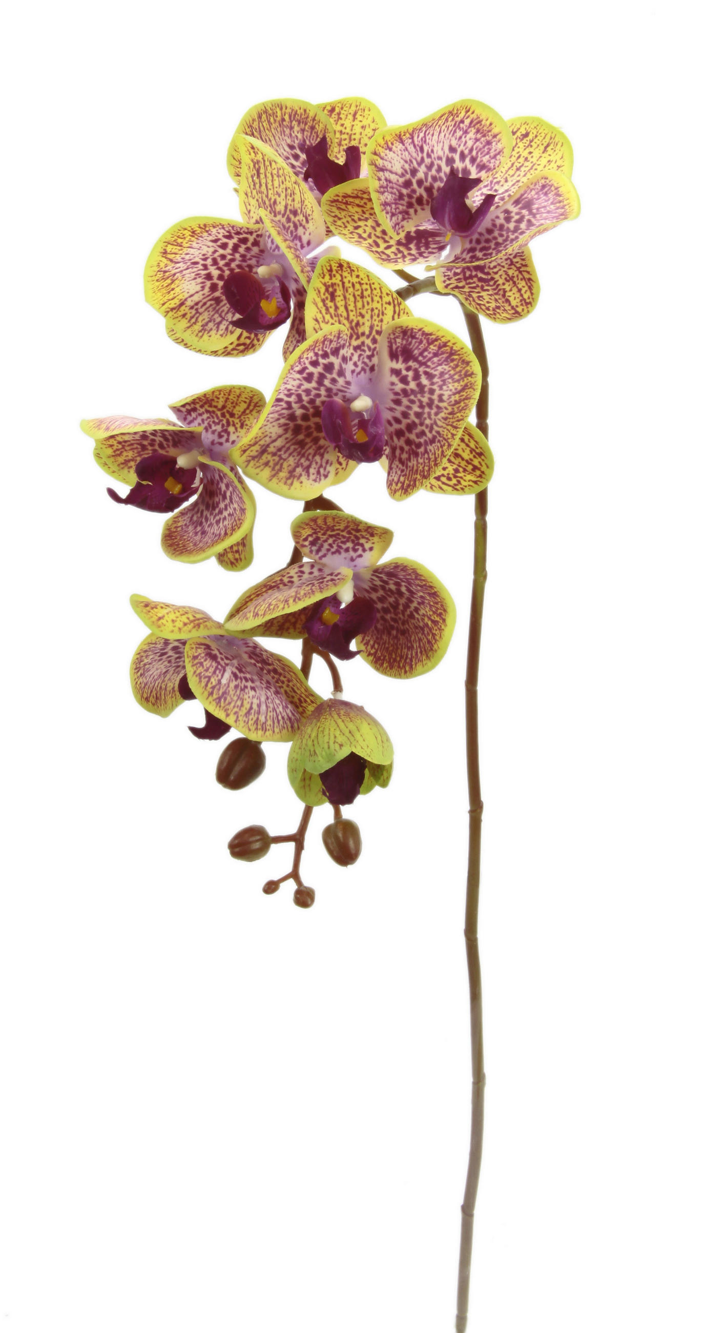 ORCHIDEE  - Rosa, Basics, Textil (76cm)