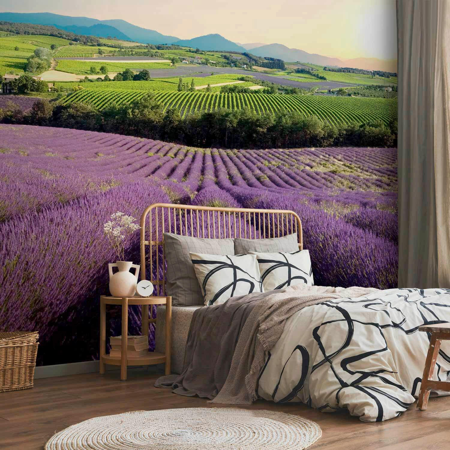 FOTOTAPETE  - Violett/Grün, LIFESTYLE, Textil (400/280cm) - artgeist