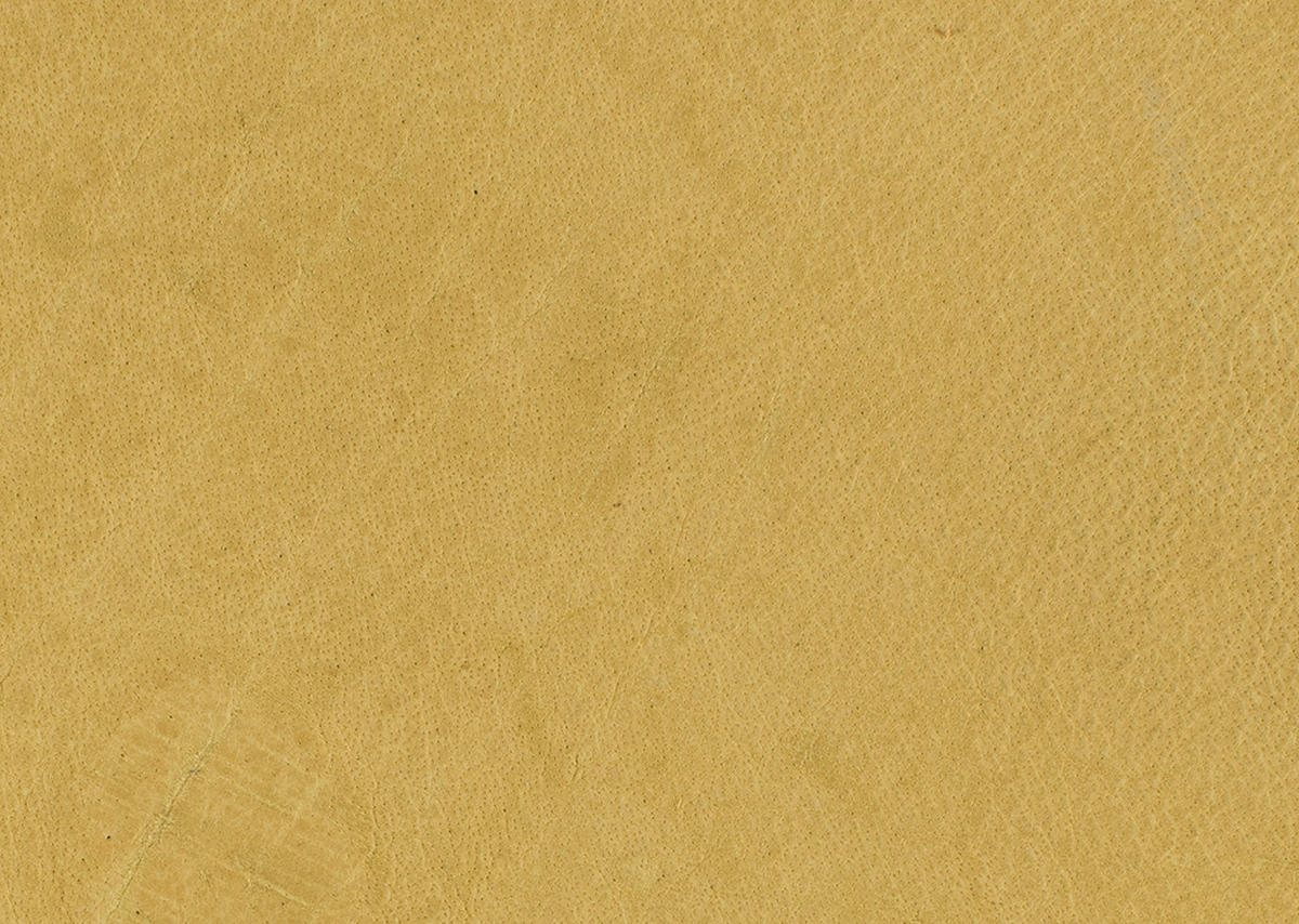 SESSEL in Echtleder Gelb  - Gelb/Schwarz, Design, Leder/Metall (80/104/99cm) - Koinor
