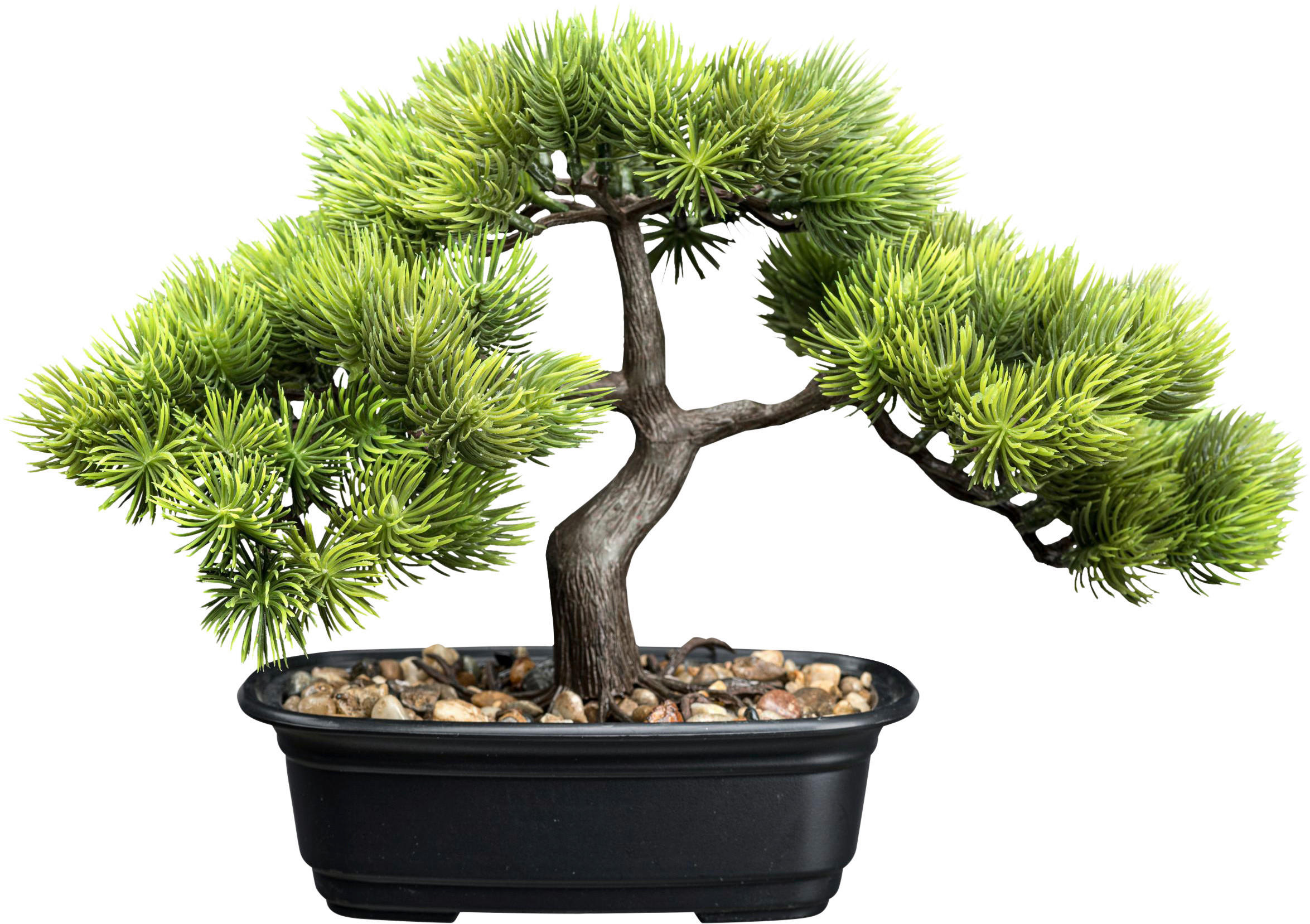 KUNSTPFLANZE Bonsai 23 cm  - Schwarz/Braun, Design, Kunststoff (23cm) - P & B