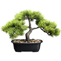 KUNSTPFLANZE Bonsai 23 cm  - Schwarz/Braun, Design, Kunststoff (23cm) - P & B