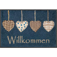 FUßMATTE  40/60 cm  Blau, Beige  - Blau/Beige, Basics, Kunststoff/Textil (40/60cm) - wash+dry