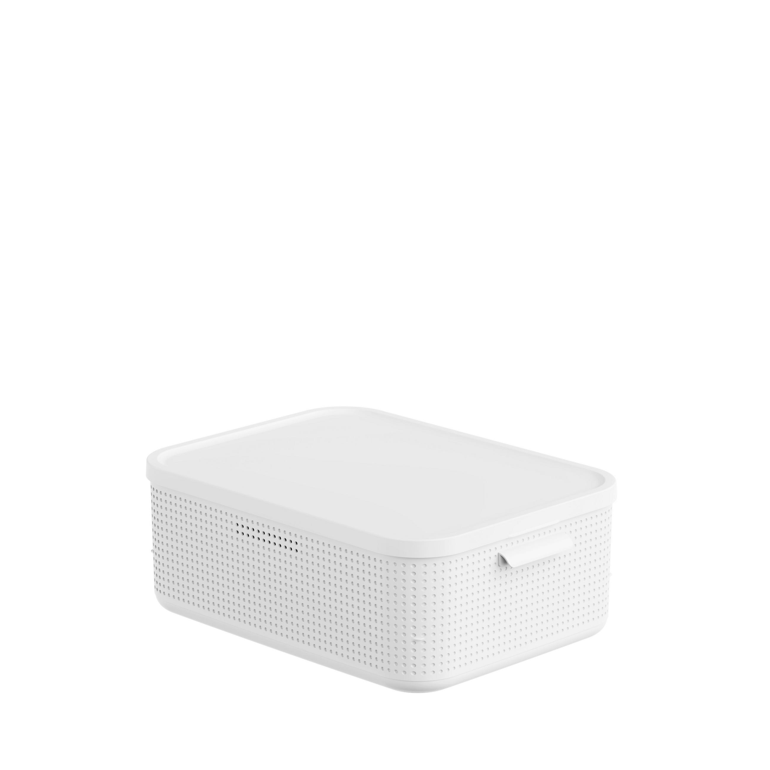 BOX MIT DECKEL     - Weiß, Basics, Kunststoff (35,6/18/50cm) - Rotho