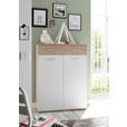 SCHUHSCHRANK 90/120/36 cm  - Eichefarben/Silberfarben, Design, Holzwerkstoff/Kunststoff (90/120/36cm) - Carryhome