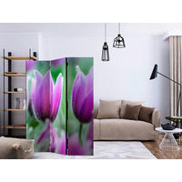 PARAVENT mit 3  Flügel - Violett/Grün, Basics, Holz/Textil (135/172/3cm) - artgeist