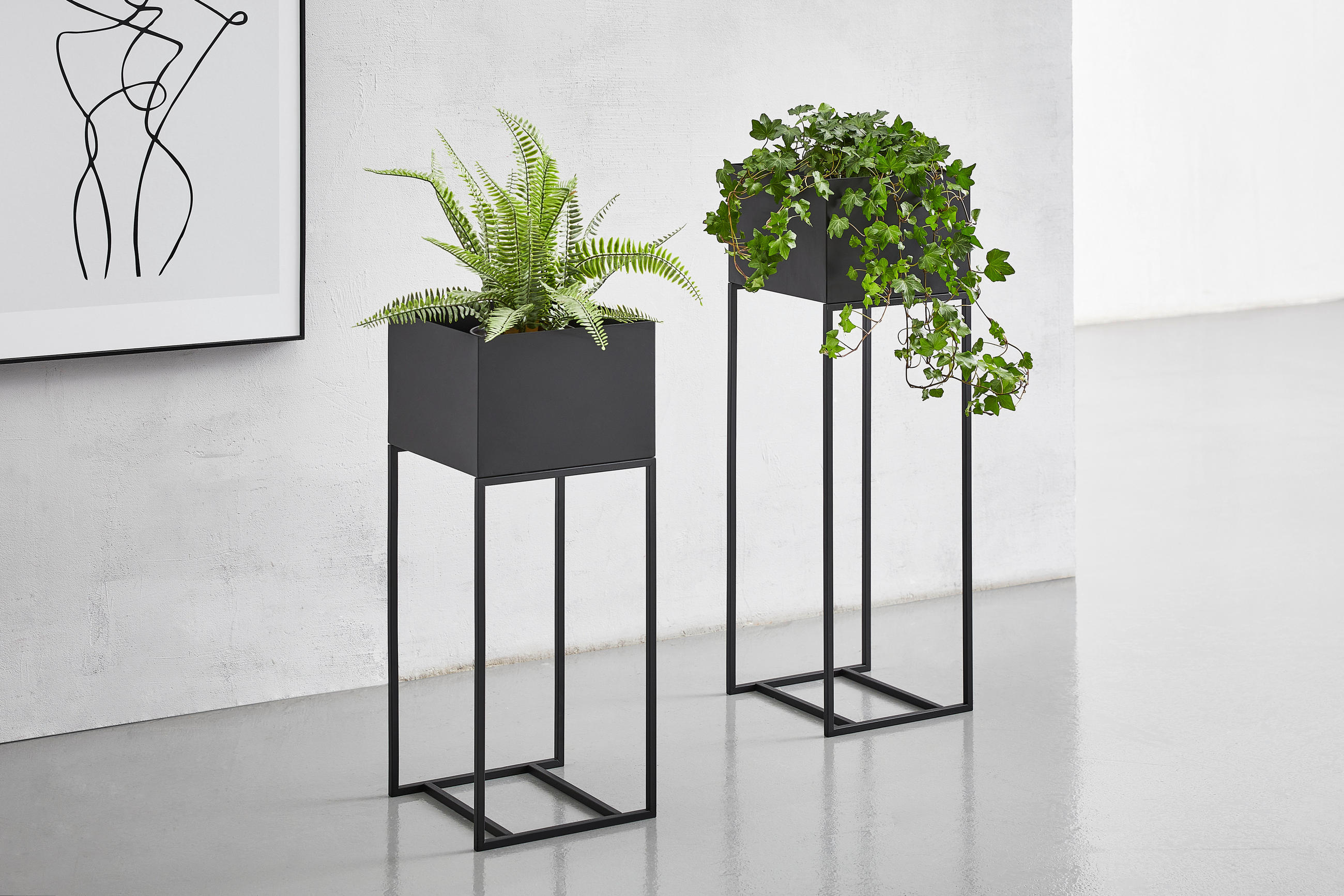 BLUMENSTÄNDER Metall  - Schwarz, Design, Metall (25/60/25cm) - Landscape