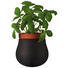 PFLANZTOPF - Terra cotta/Schwarz, KONVENTIONELL, Glas/Keramik (9,80/10,20/9,80cm) - Leonardo PFLANZTOPF - Terra cotta/Schwarz, KONVENTIONELL, Glas/Keramik (9,80/10,20/9,80cm) - Leonardo