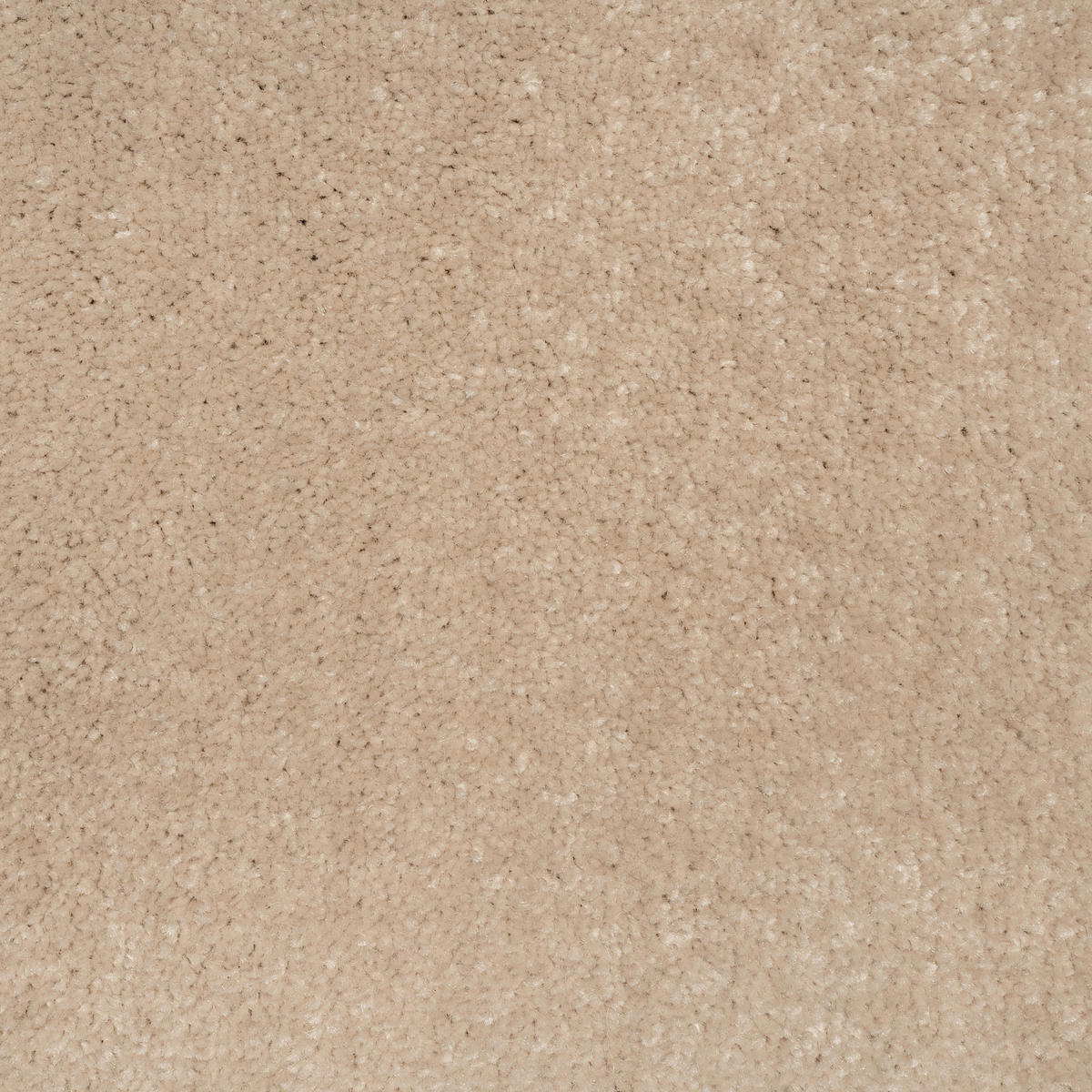 TEPPICHFLIESE 50/50 cm  in Beige  - Beige, Basics, Textil (50/50cm)