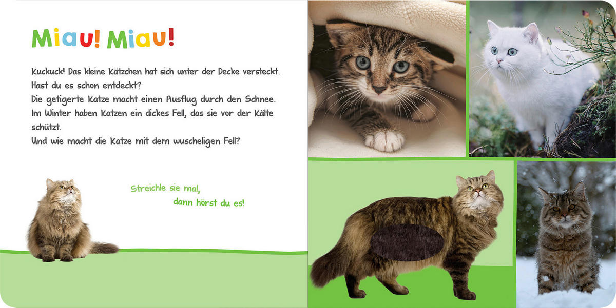 BUCH - Multicolor, Basics (20/20/2cm)