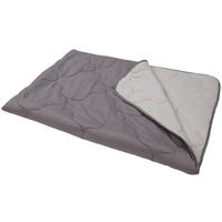LETNÁ PRIKRÝVKA, 140/200 cm, polyester - sivá/biela, Konventionell, textil (140/200cm) - Sleeptex