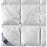 GANZJAHRESBETT 155/220 cm - Champagner, Basics, Textil (155/220cm) - Billerbeck GANZJAHRESBETT 155/220 cm - Champagner, Basics, Textil (155/220cm) - Billerbeck