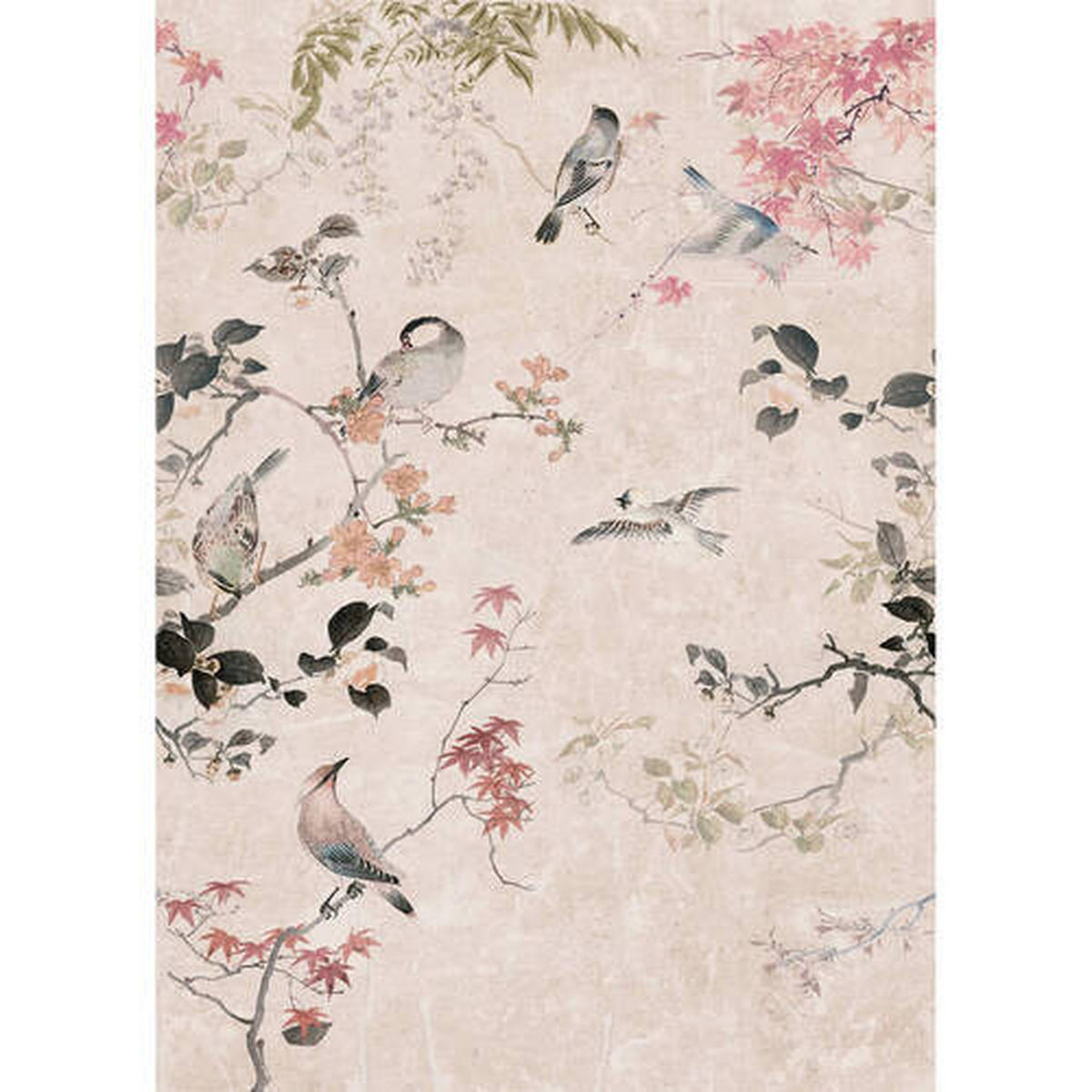 FOTOTAPET 200/280 cm  - multicolor/rosa, Trend, papper/plast (200/280cm)