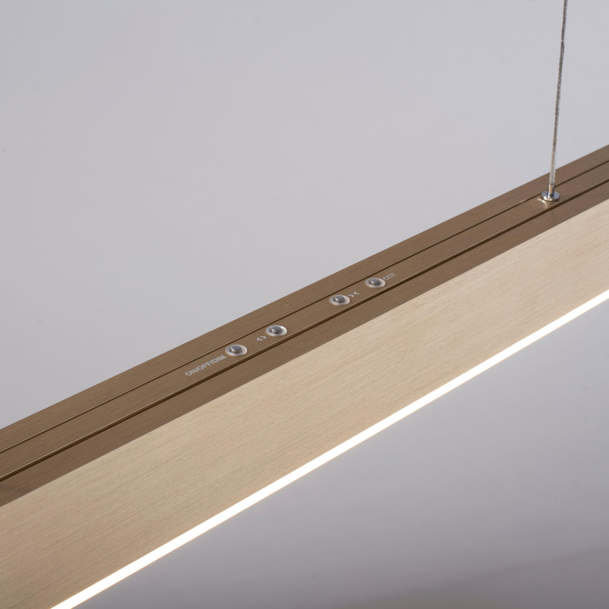 LAMPĂ SUSPENDATĂ CU LED 110-200/5,5/110-200 cm  - Design, plastic/metal (110-200/5,5/110-200cm)