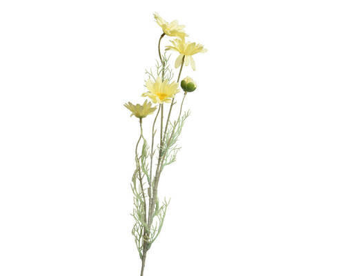 FLOARE DECORATIVĂ - Basics (19/7/78cm)