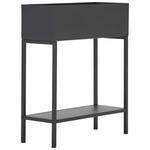 BLUMENSTÄNDER Metall  - Schwarz, Trend, Metall (50/60/20cm) - Landscape