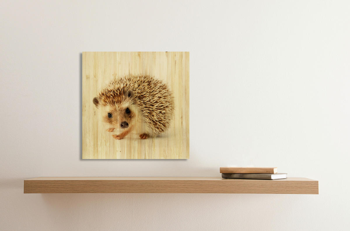 BABYWANDDEKO - Multicolor, Basics, Holz (40/40/3cm)