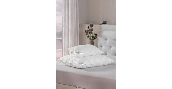 KOPFPOLSTER 40/60 cm - Weiß, Basics, Textil (40/60cm) - Sleeptex
