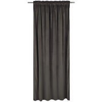 Gardin i sammet, 2-pack  - mörkgrå, Basics, textil (140/240cm)