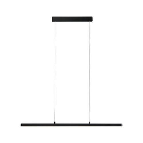 LED-HÄNGELEUCHTE 100/150 cm  - Schwarz, Design, Kunststoff/Metall (100/150cm) - Paulmann