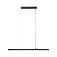 LED-HÄNGELEUCHTE 100/150 cm  - Schwarz, Design, Kunststoff/Metall (100/150cm) - Paulmann