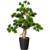 KUNSTPFLANZE Bonsai 60 cm  - Schwarz/Braun, Design, Kunststoff (60cm)