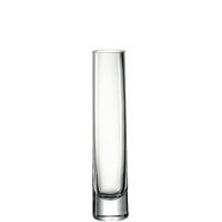 VÁZA, sklo, 24 cm - průhledné, Basics, sklo (5/24/5cm) - Leonardo