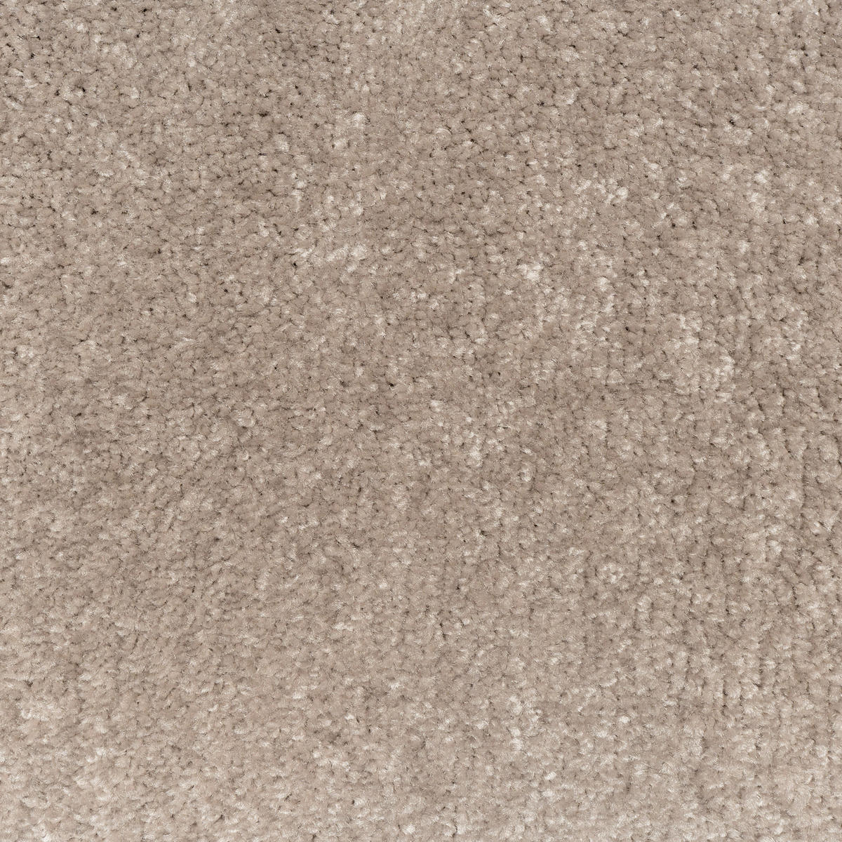 TEPPICHFLIESE 50/50 cm  in Cappuccino  - Cappuccino, Basics, Textil (50/50cm)