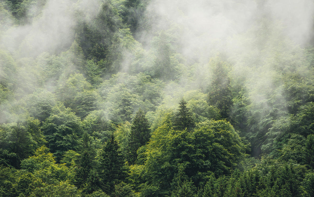 NON WOVEN-TAPET 400/250 cm  - Natur (400/250cm)