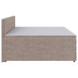 BOXSPRINGBETT 160/200 cm  in Beige  - Beige/Schwarz, KONVENTIONELL, Kunststoff/Textil (160/200cm) - Carryhome